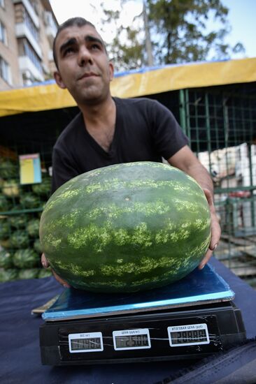Melons and watermelons sold in Moscow