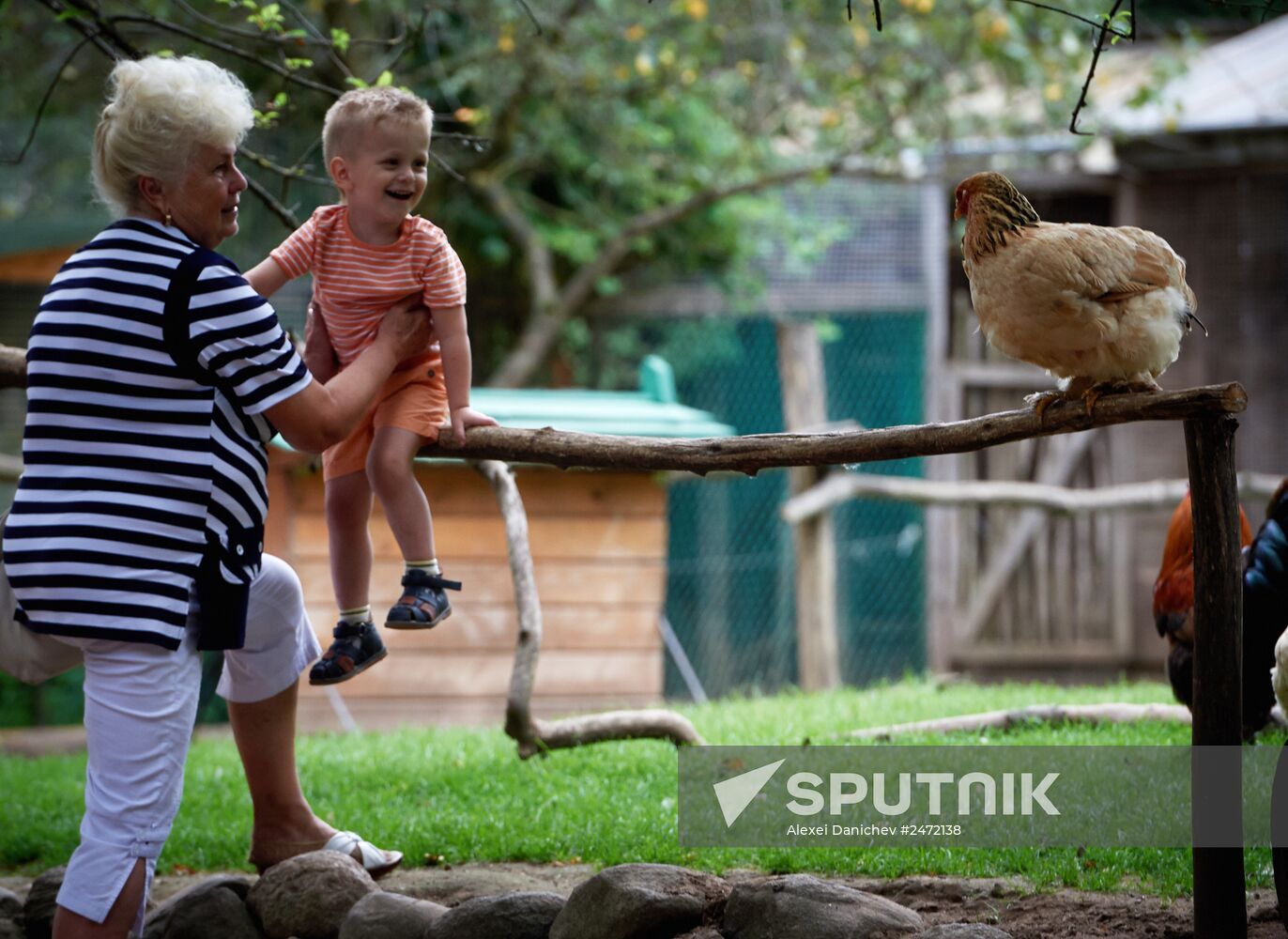 Private ornithological nursery in Pskov region