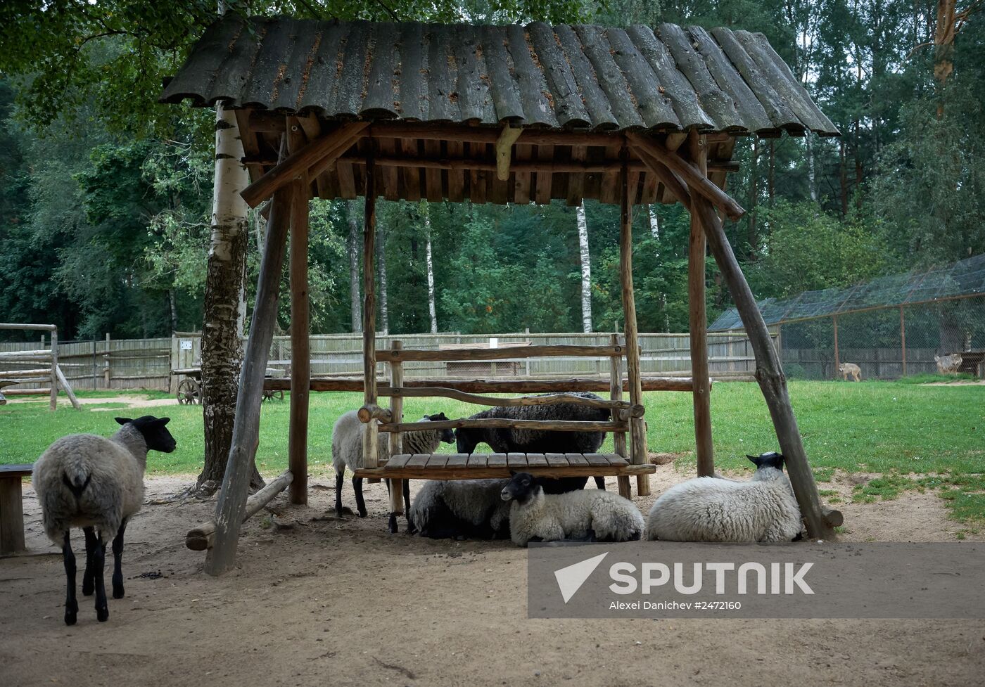 Private ornithological nursery in Pskov region