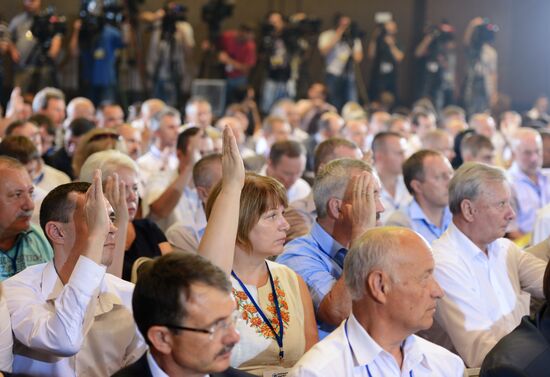 Strong Ukraine Party's conference