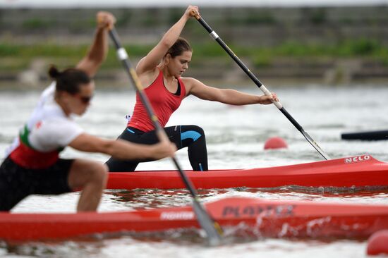 2014 ICF Canoe Sprint World Сhampionships. Day Five