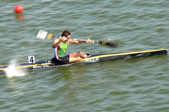 2014 ICF Canoe Sprint World Сhampionships. Day Five
