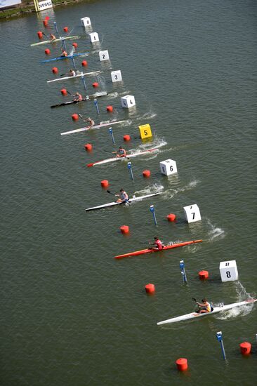 2014 ICF Canoe Sprint World Сhampionships. Day Five