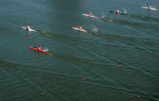 2014 ICF Canoe Sprint World Сhampionships. Day Five