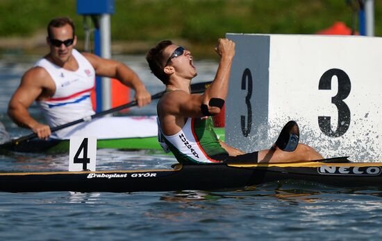 2014 ICF Canoe Sprint World Сhampionships. Day Five