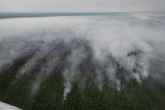 Wildfires put out in Yakutia