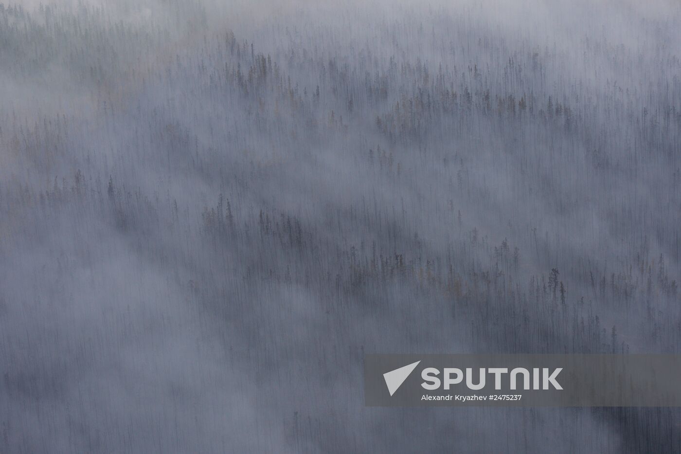 Wildfires put out in Yakutia