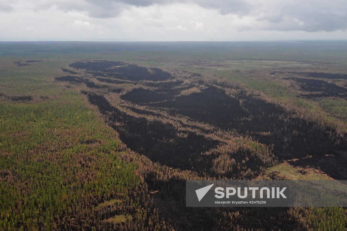 Wildfires put out in Yakutia