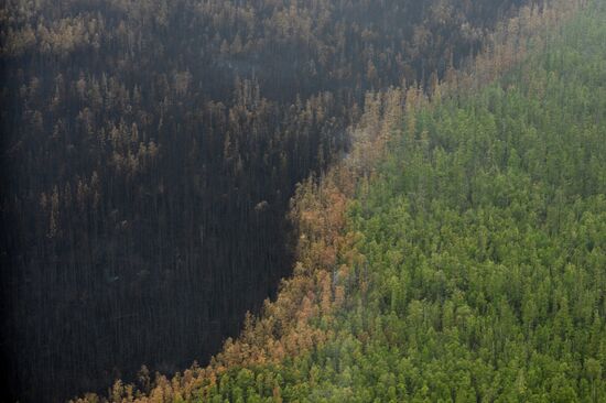 Wildfires put out in Yakutia