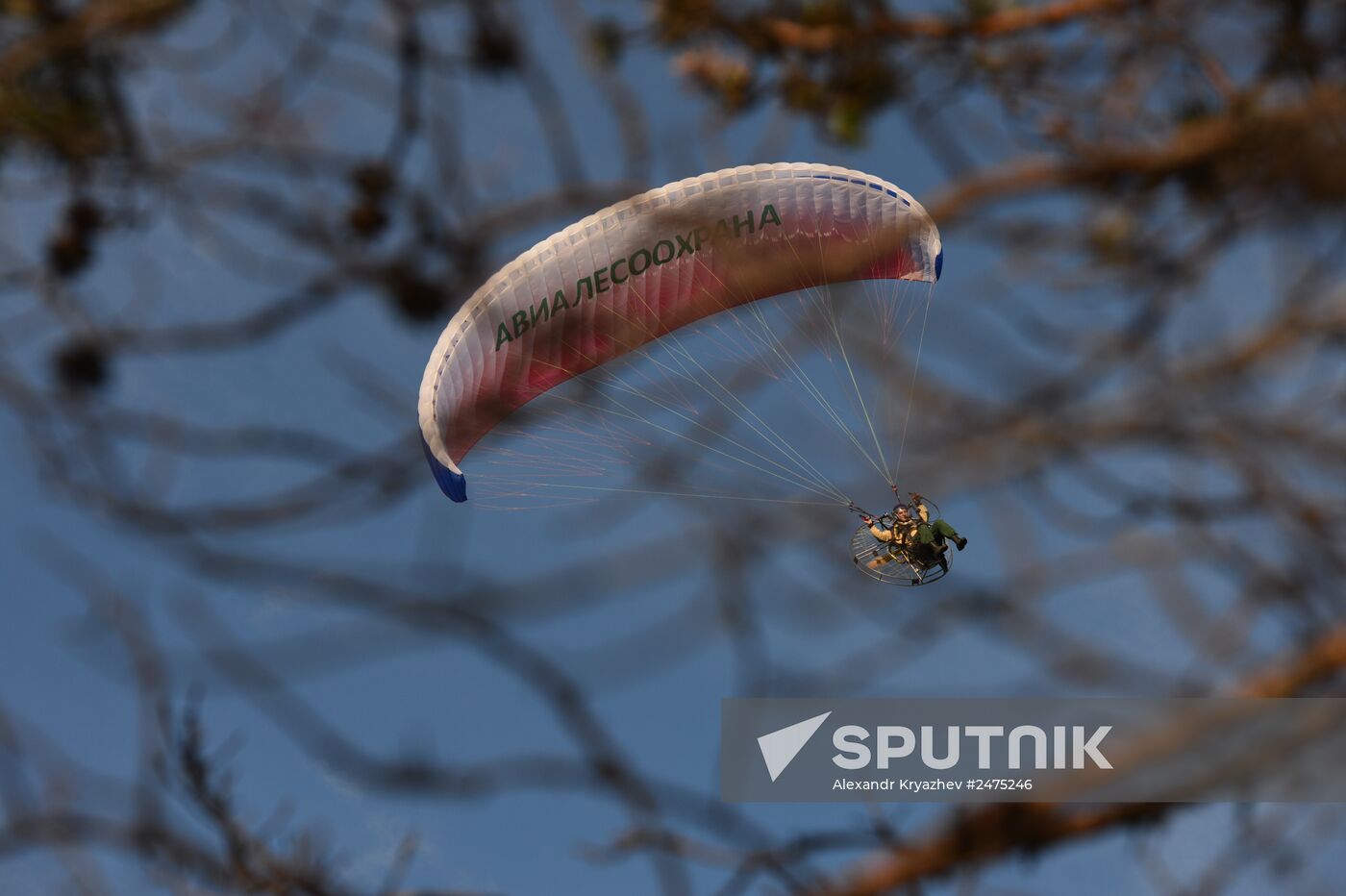 Wildfires put out in Yakutia