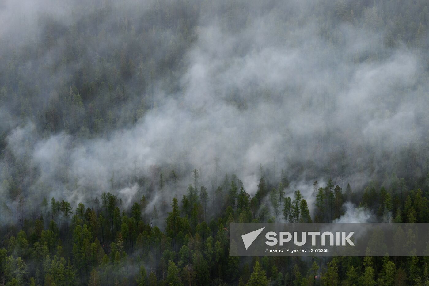 Wildfires put out in Yakutia