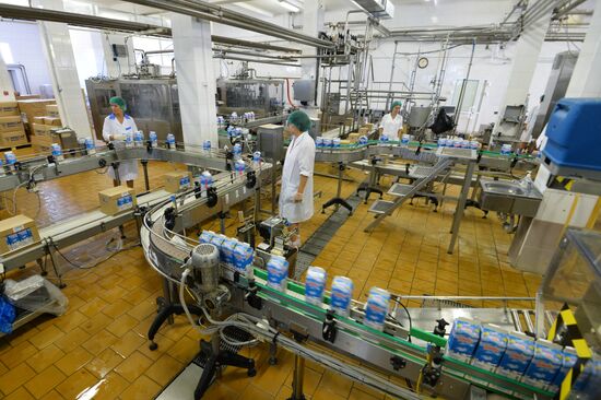 Operations of Chelyabinsk City Dairy Plant