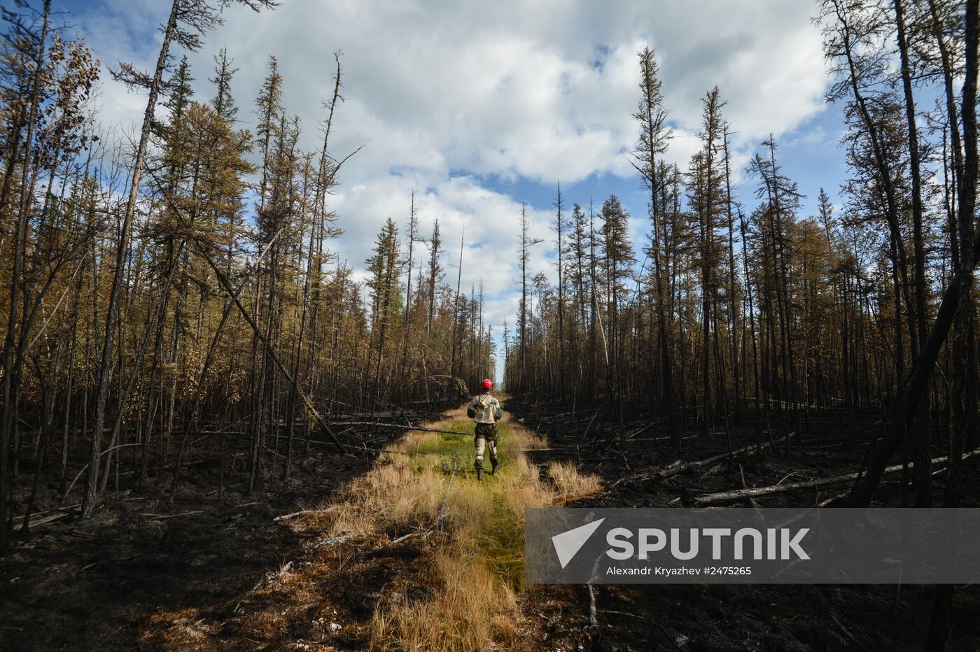 Wildfires put out in Yakutia