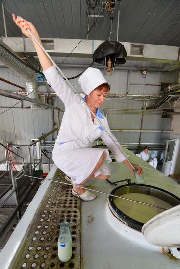 Operations of Chelyabinsk City Dairy Plant