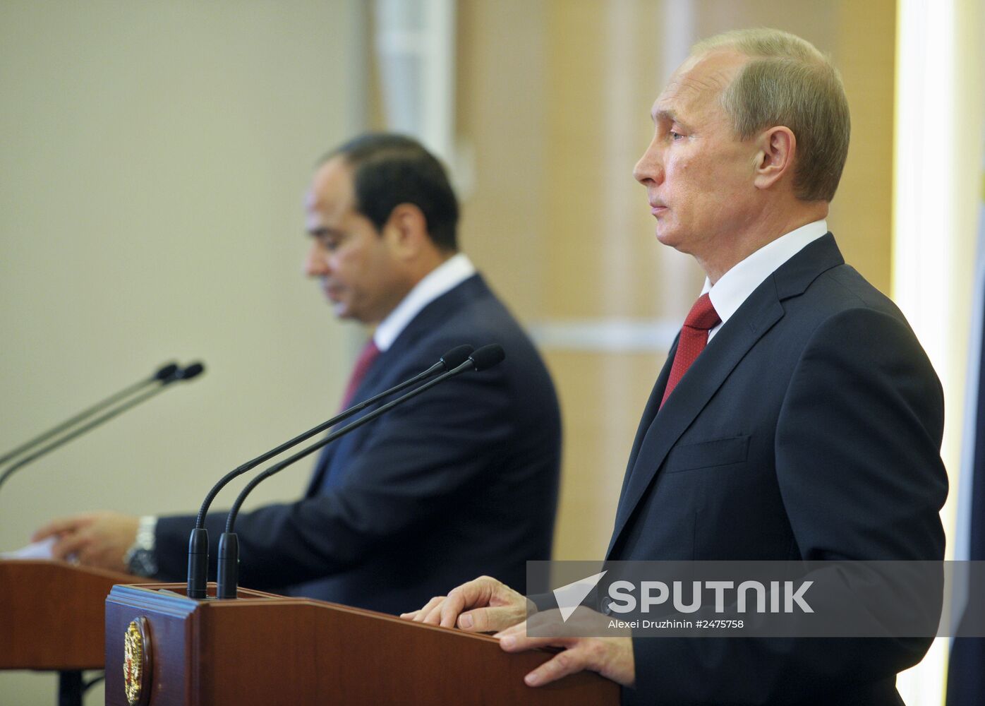 Vladimir Putin meets with Abdel Fattah el-Sisi in Sochi