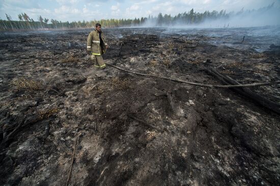 Putting out peat bog fires in Tver Region