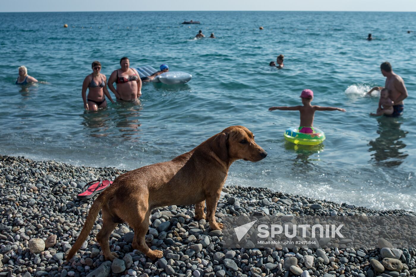 Recreation in Krasnodar territory