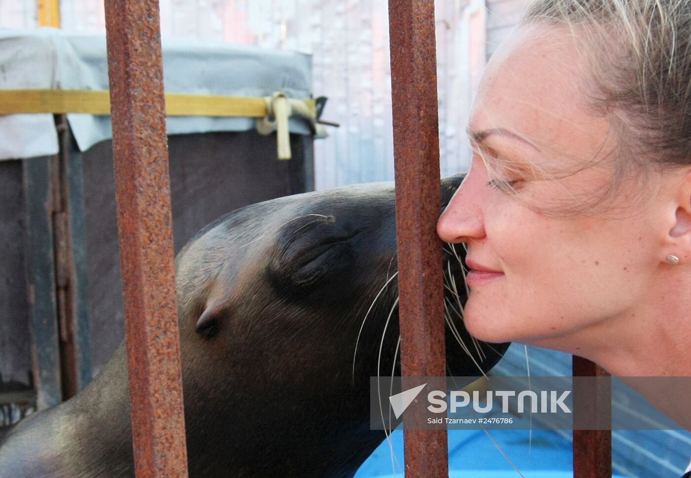 A sea lion was born during a tour of the Moscow circus