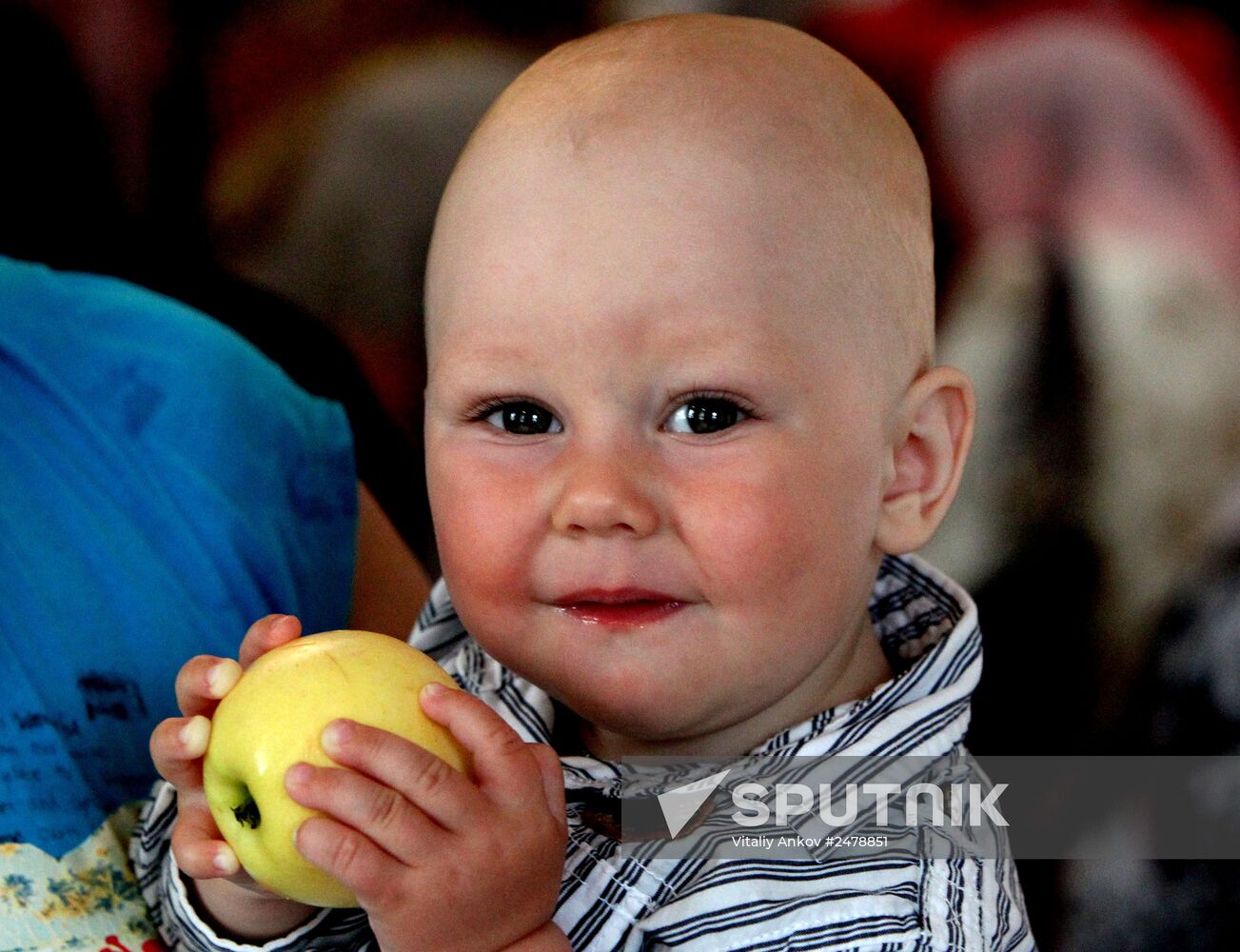 Orthodox Christians celebrate Savior of the Apple Feast Day