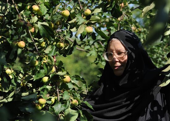 Orthodox Christians celebrate Savior of the Apple Day Feast