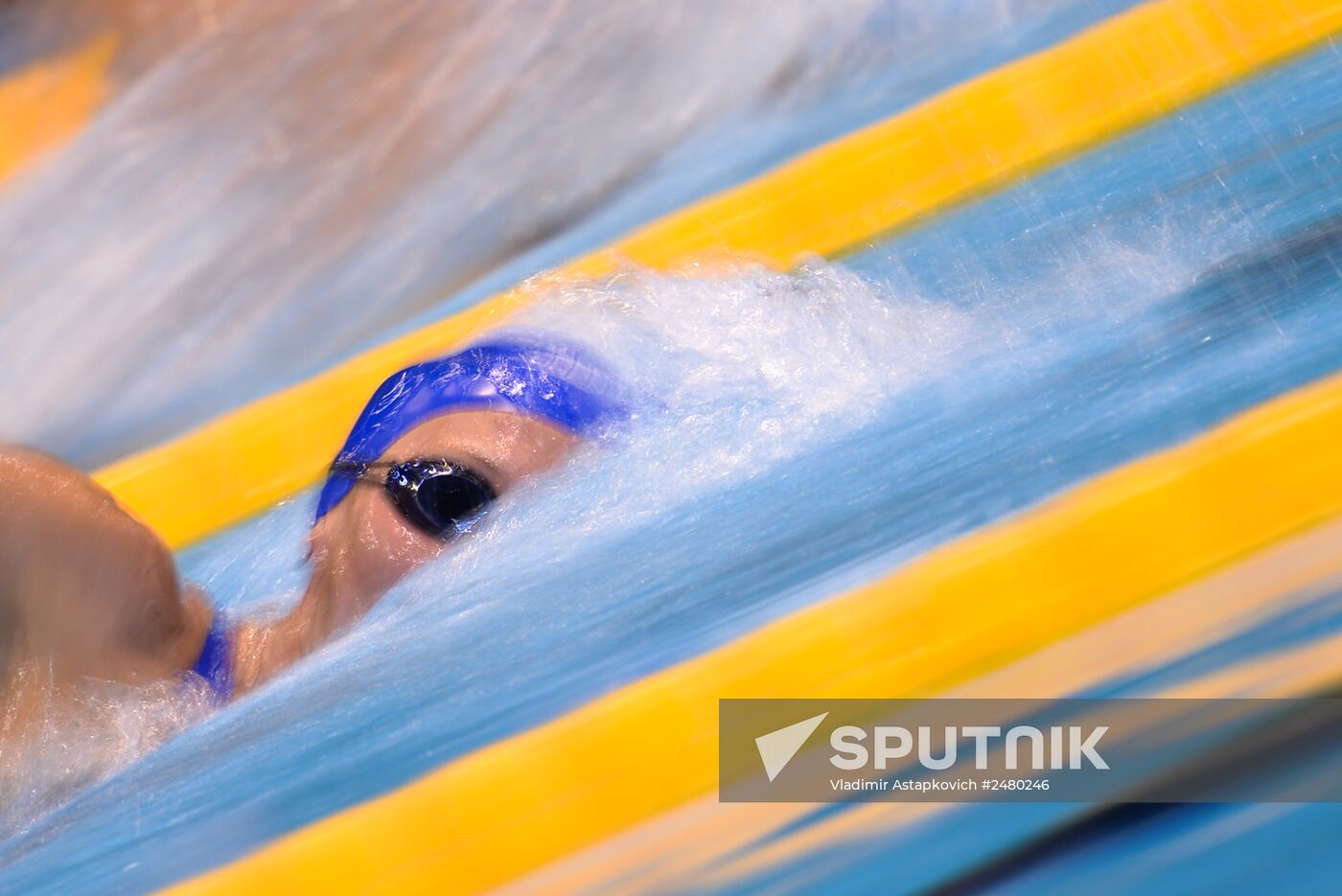 European Swimming Championships. Day nine