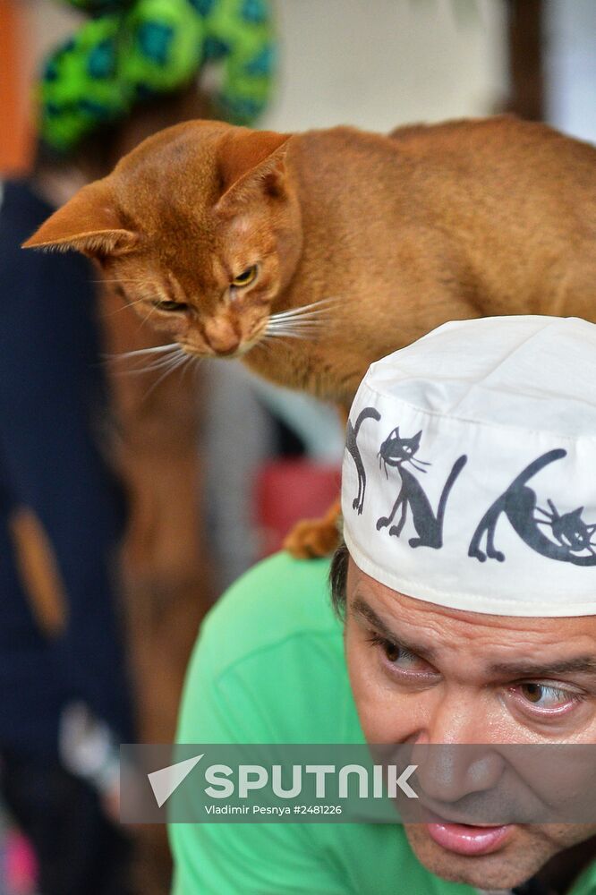 InfoKot 2014 International Cat Show