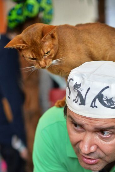 InfoKot 2014 International Cat Show