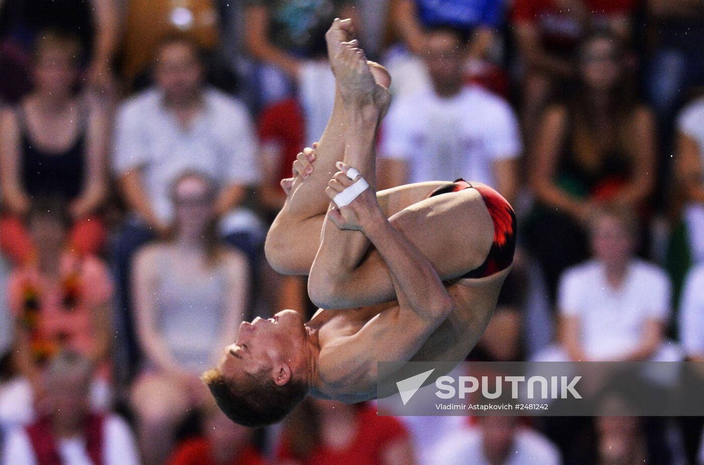 European Swimming Championships. Day Eleven