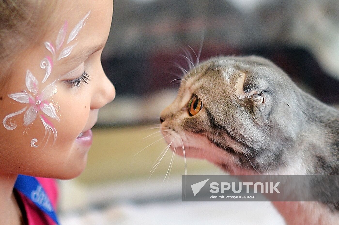 InfoKot 2014 International Cat Show