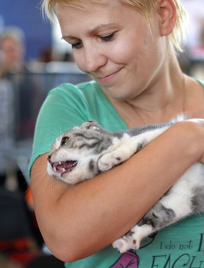 InfoKot 2014 International Cat Show