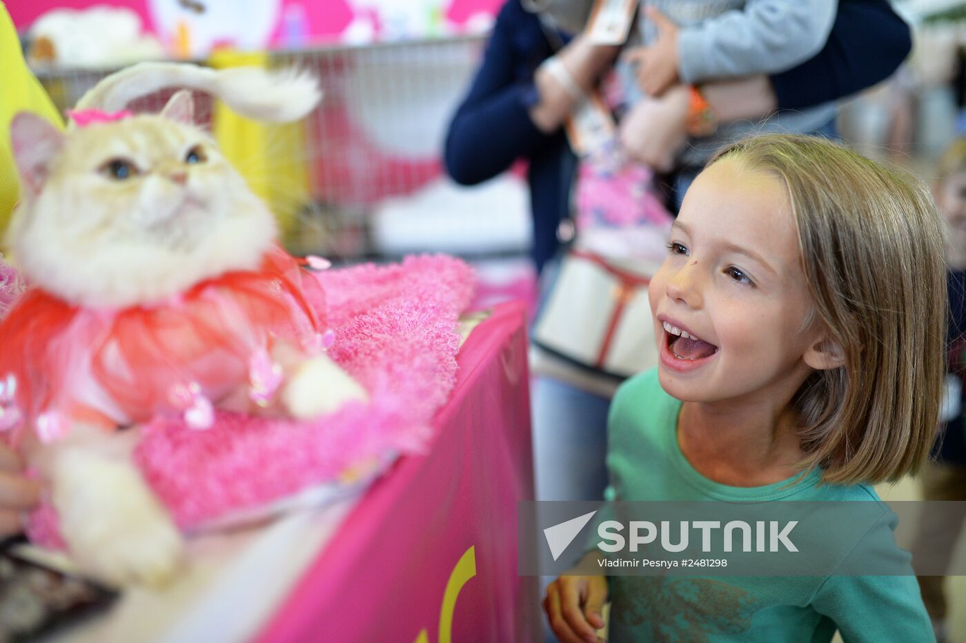 InfoKot 2014 International Cat Show