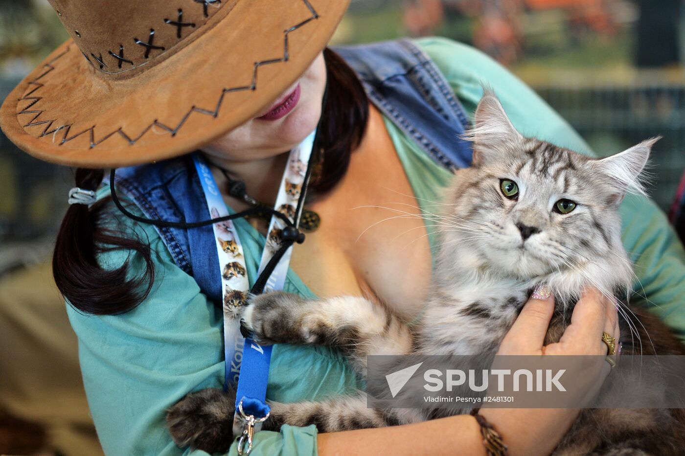 InfoKot 2014 International Cat Show