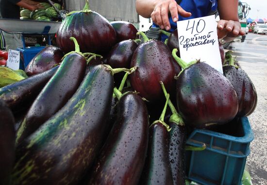 Food fair in Vladivostok