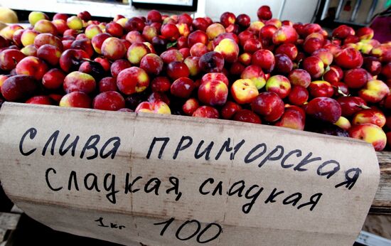 Food fair in Vladivostok