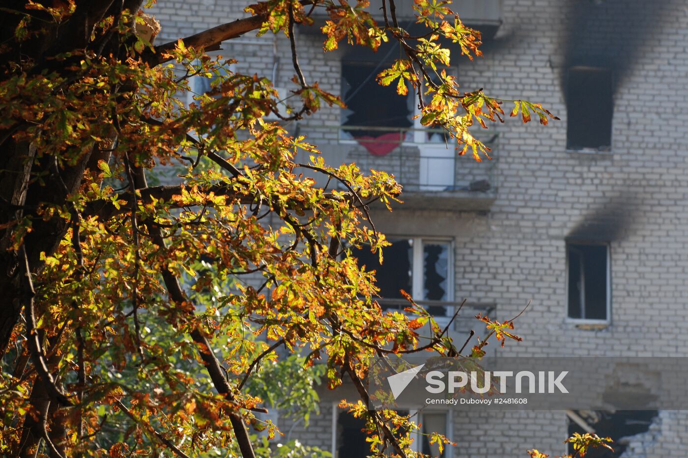 Update on Ilovaisk, Donetsk region