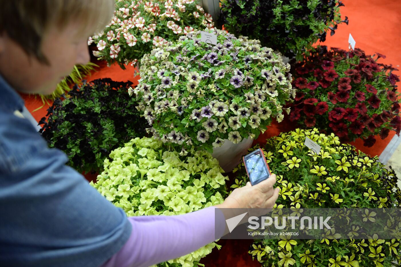 Flowers-IPM International Fair