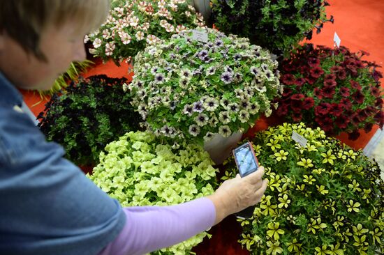 Flowers-IPM International Fair