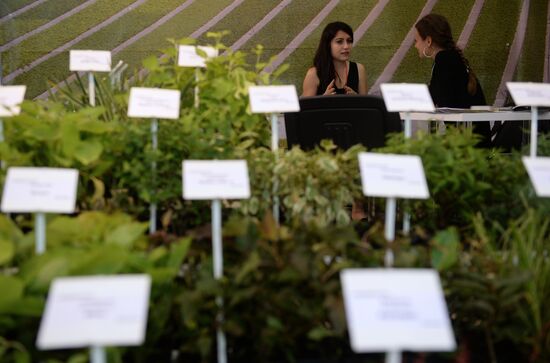 Flowers-IPM International Fair