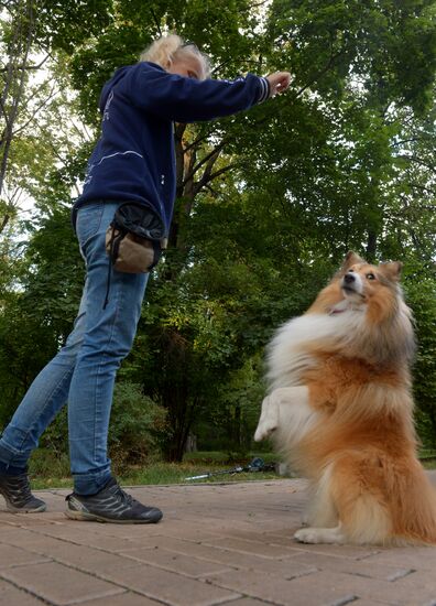 Celebrating Russian Cinema Day in Sokolniki Park