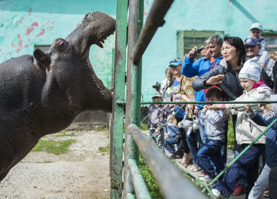 Village zoo in Omsk Region