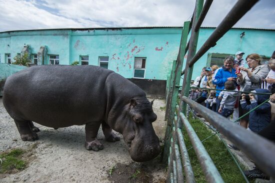 Village zoo in Omsk Region