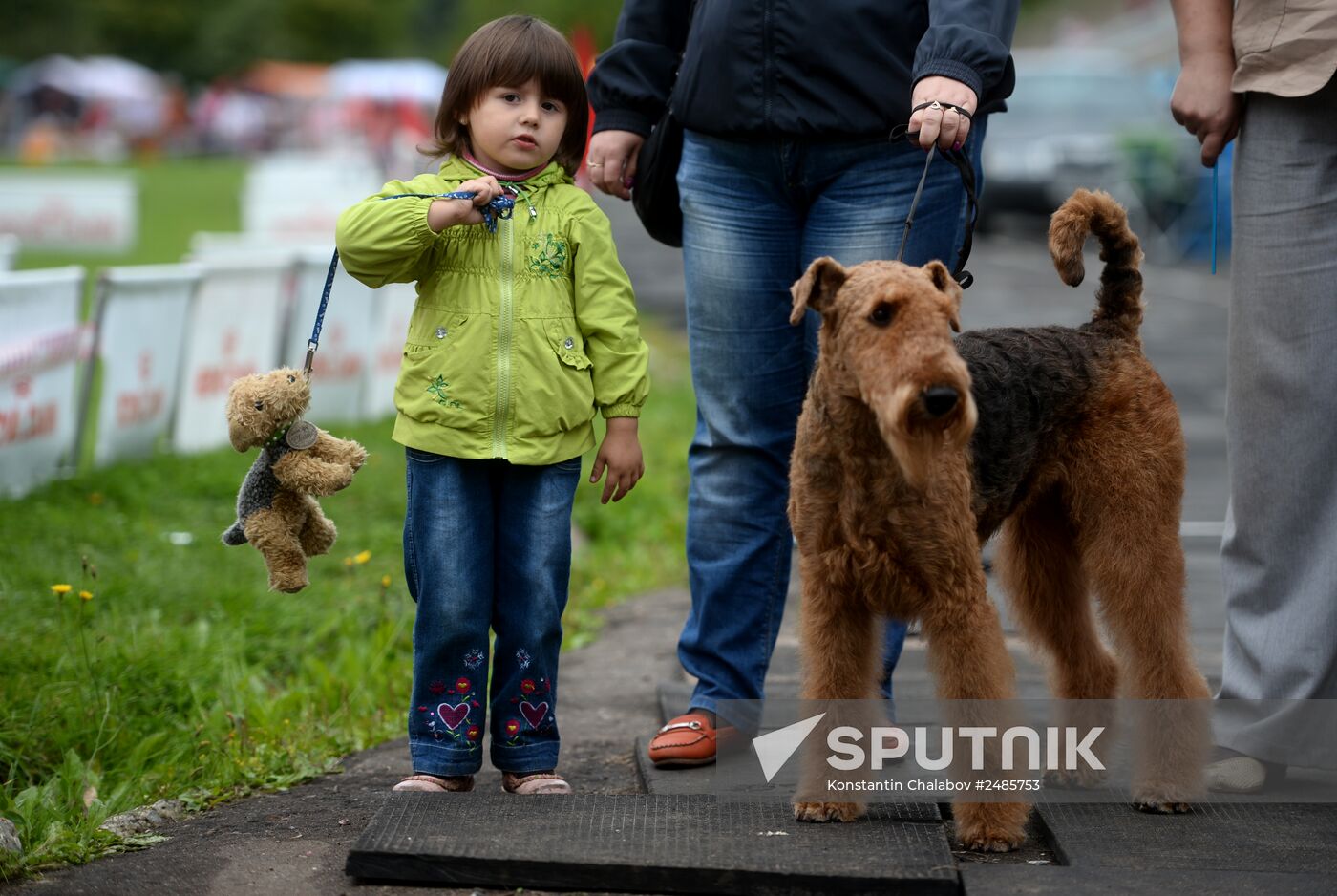 Lord Novgorod the Great Dog Show - 2014