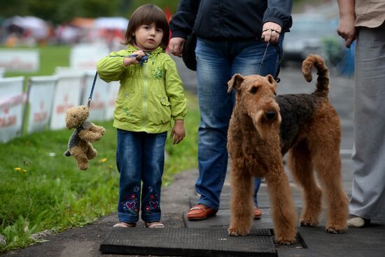 Lord Novgorod the Great Dog Show - 2014