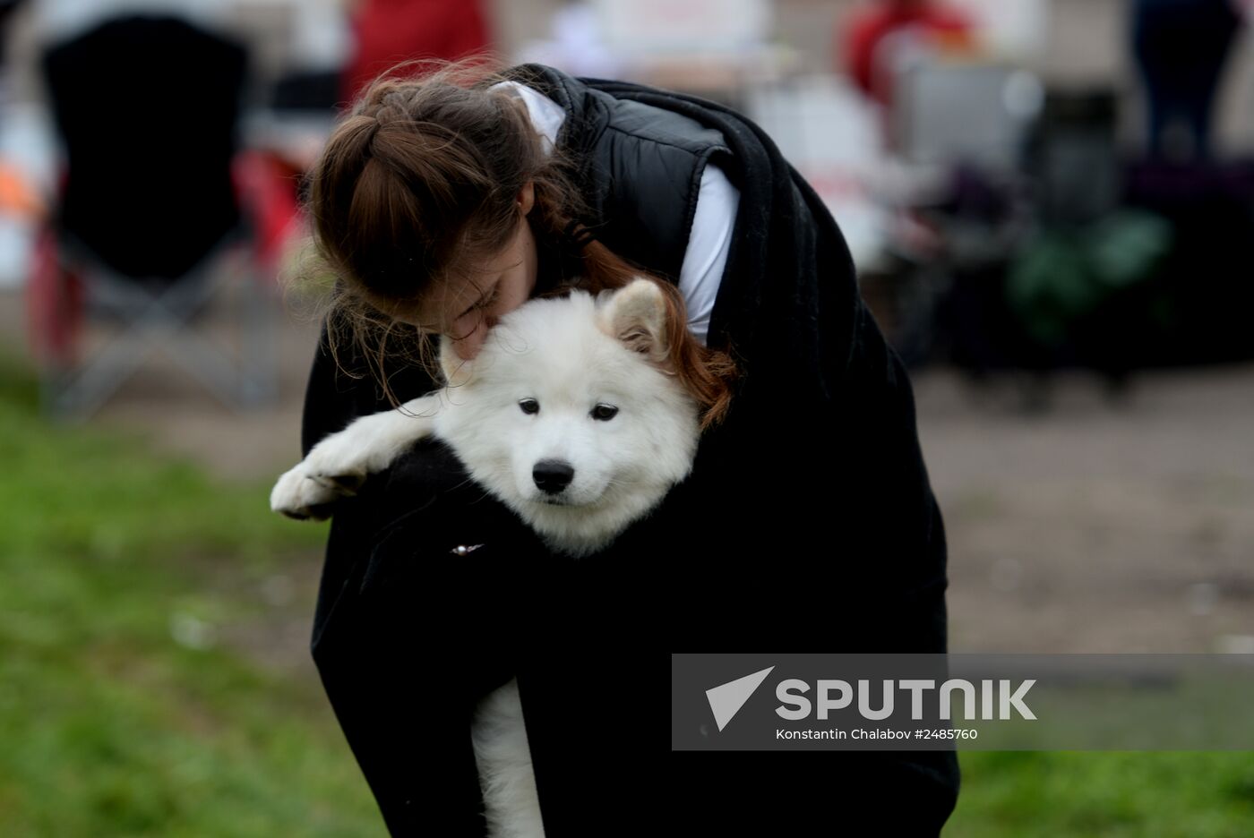 Novgorod the Great - 2014 dog show