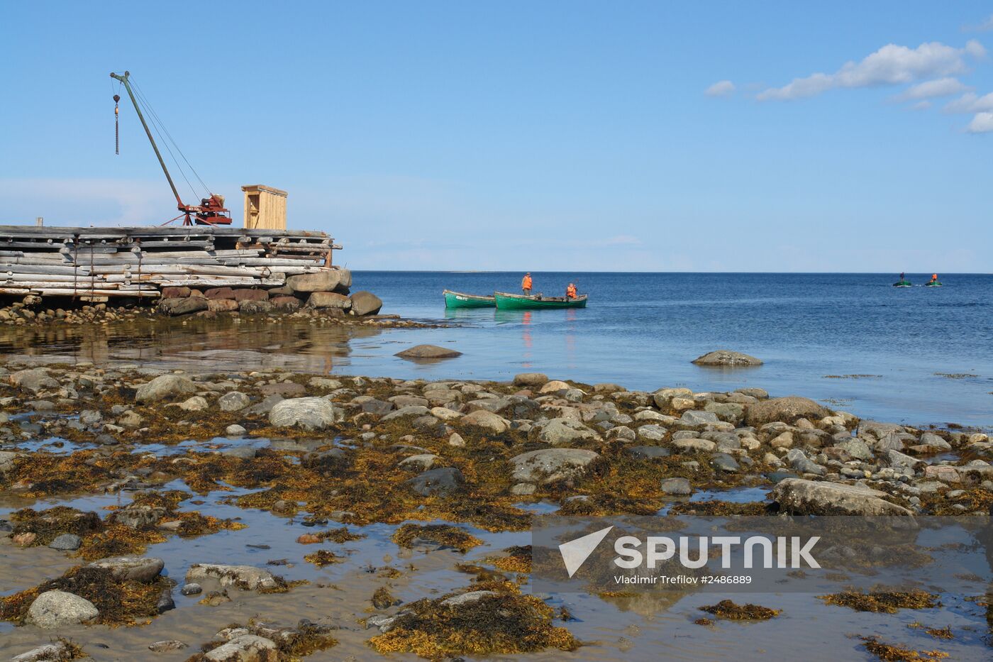 Harvesting laminaria in Solovetsky Archipelago