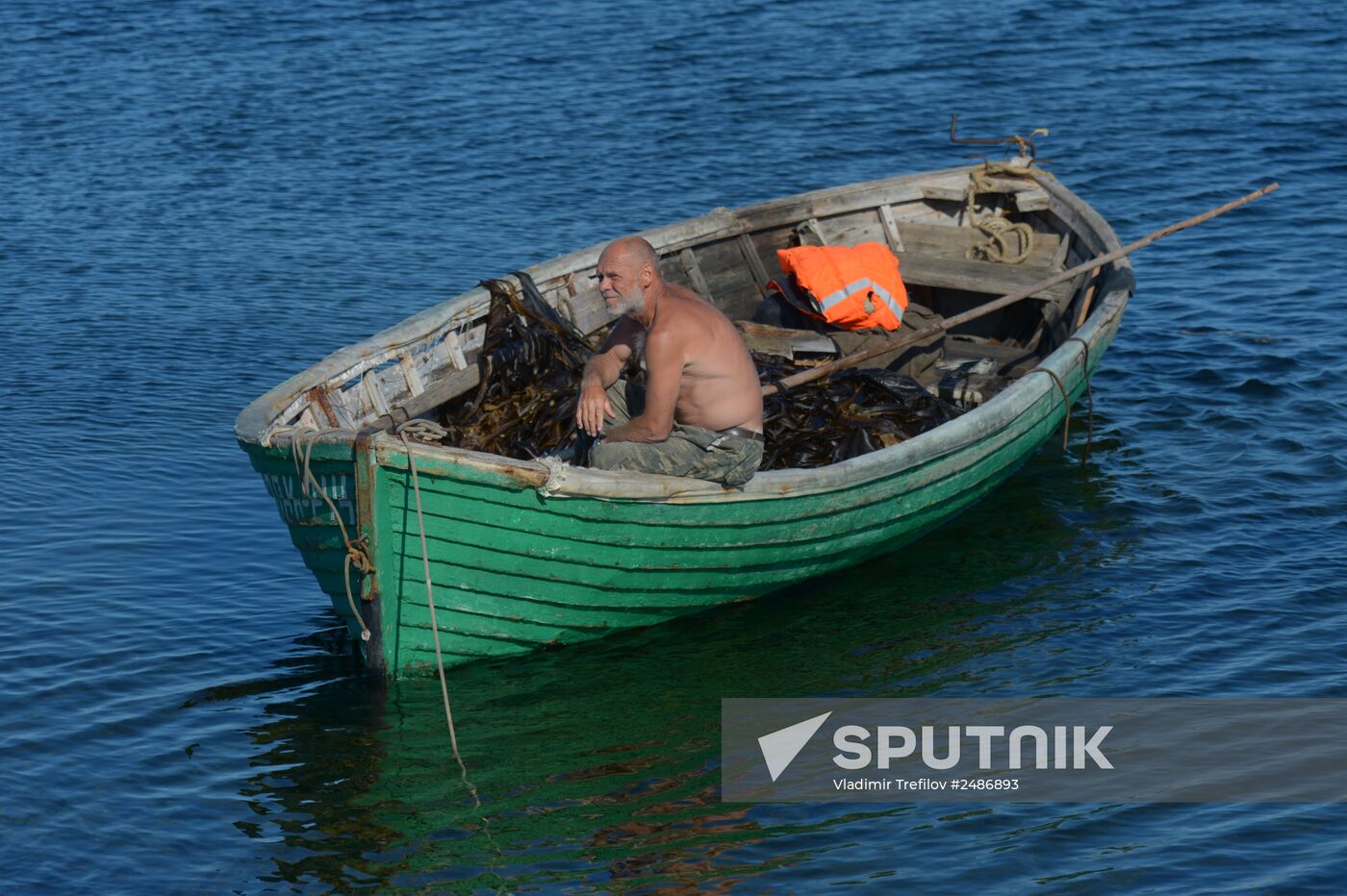 Harvesting laminaria in Solovetsky Archipelago