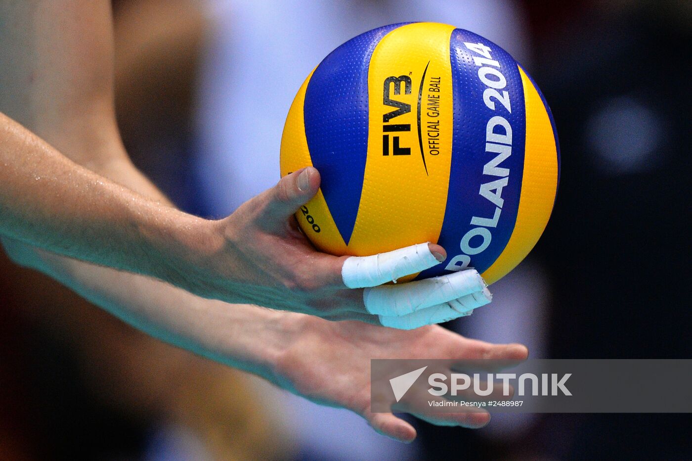 2014 FIVB Volleyball Men's World Championship. Russia vs. Mexico