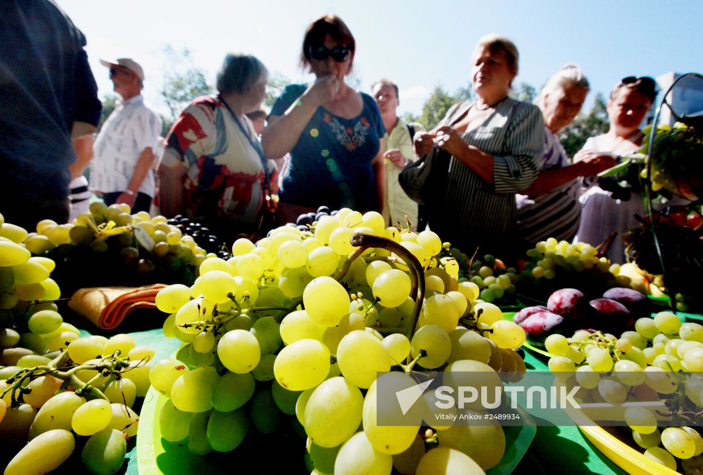 Gardener Day in Vladivostok