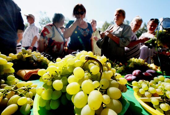 Gardener Day in Vladivostok