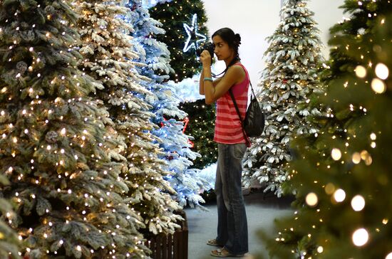 "Christmas Time 2014. 100 Days to the New Year" exhibition